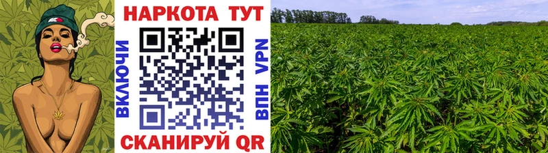 Купить наркоту Абинск Кокаин  Меф мяу мяу  APVP  Кетамин  ГАШ  Каннабис 