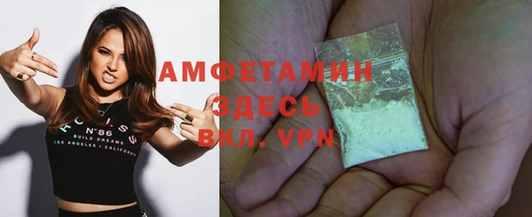 шишки Абаза