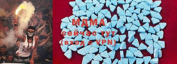 шишки Абаза