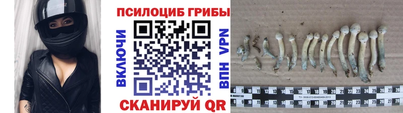 закладки  гидра сайт  Галлюциногенные грибы ЛСД  Абинск 